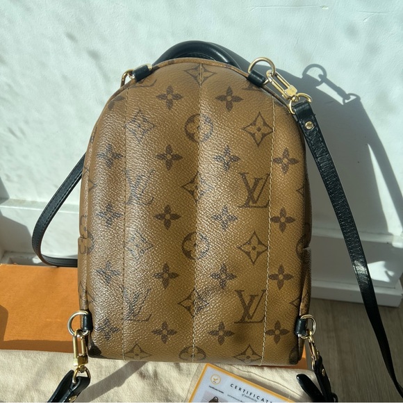 Palm Springs Mini Reverse Monogram - Picture 9 of 17